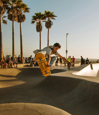 SKATE COLLECTION