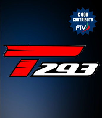 Piano sviluppo FIV x Techno 293