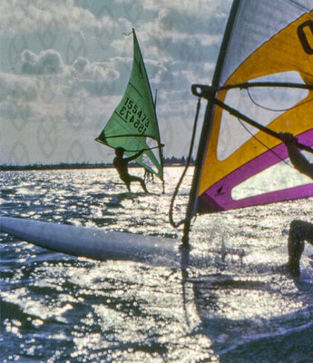 Tavole Windsurf Longboard