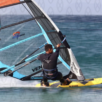 Alberi Windsurf