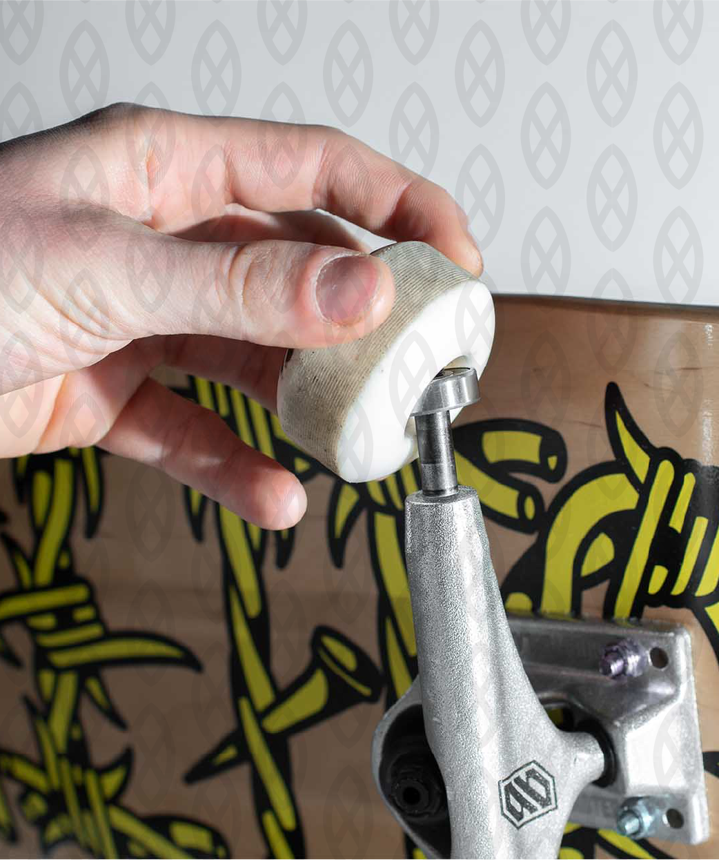 Cuscinetti Skate