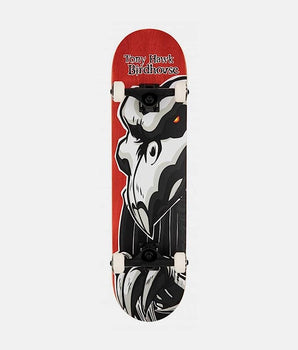 Skate Completo Birdhouse FALCON 2 8.00"