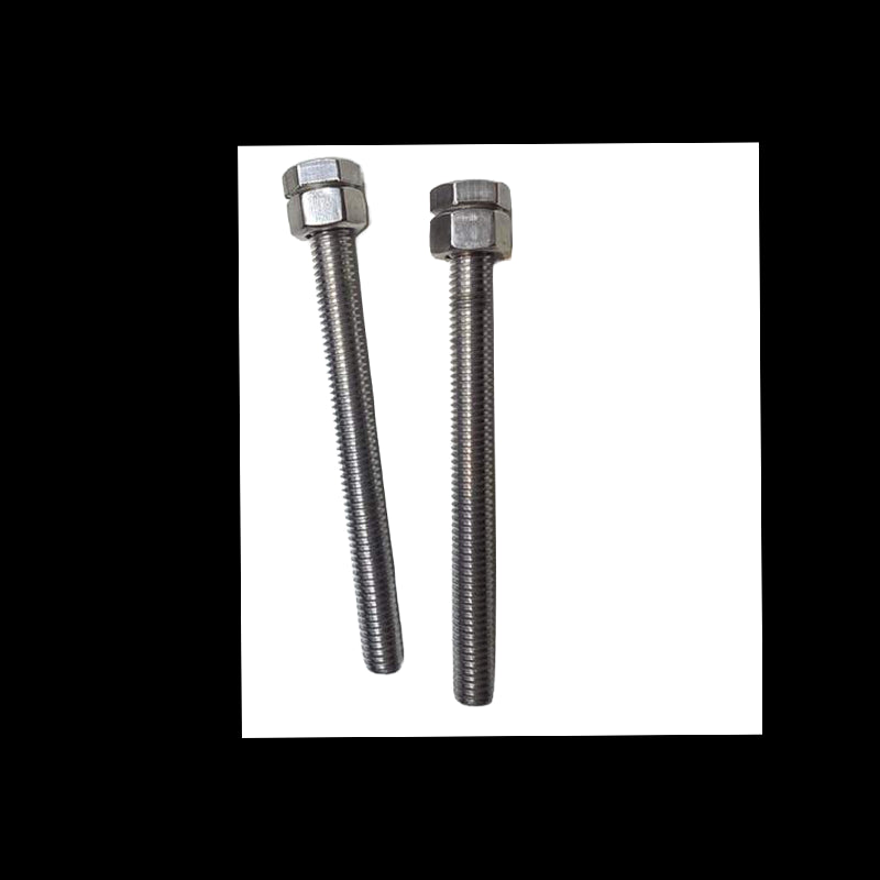 Coppia di viti per il mast foil