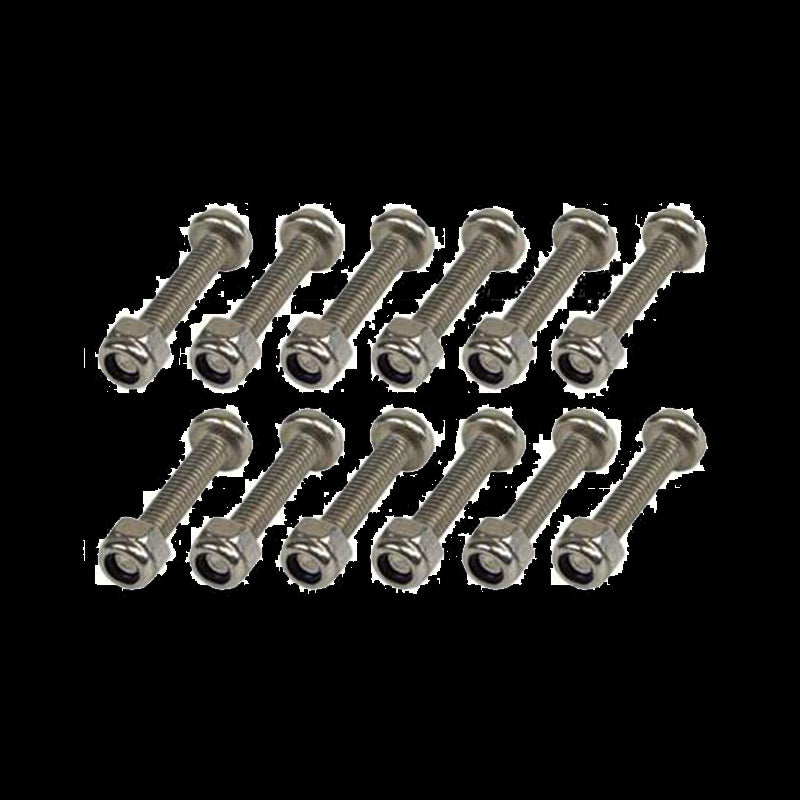 Set 12 Viti E 12 Dadi Per Agugliotti