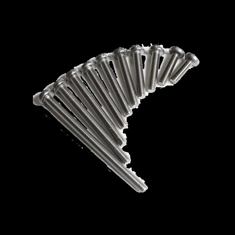 Vite per pinna M6 x 55