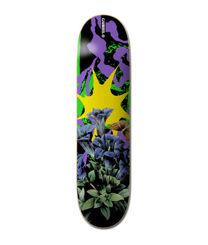 Tavola da Skate ELEMENT Combine Gabriel 8.25''